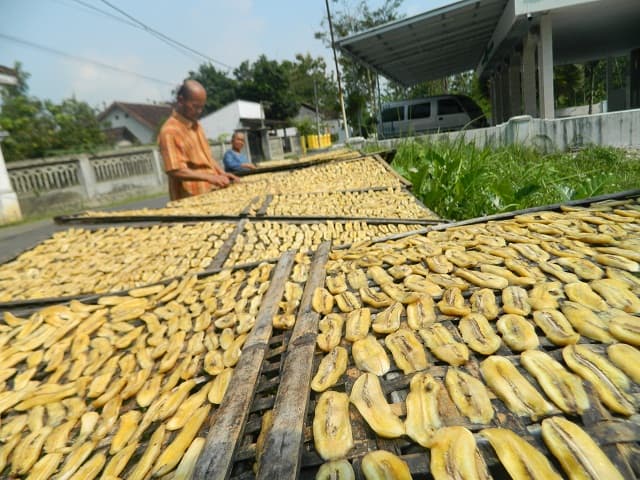 Penjemuran Pisang Tradisional