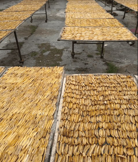 Penjemuran Pisang Tradisional