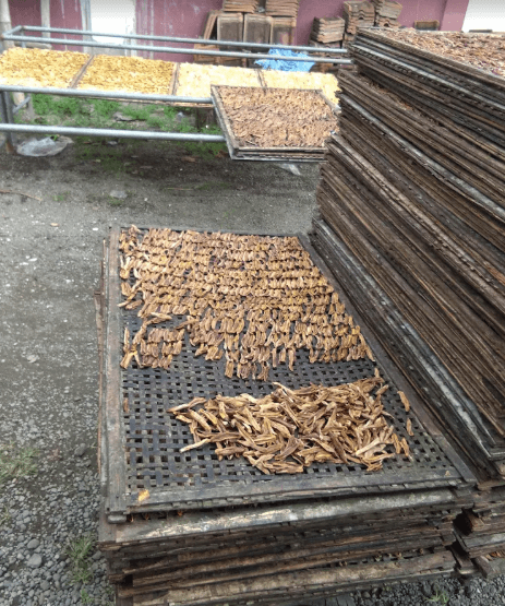Proses Pengolahan Pisang Sale